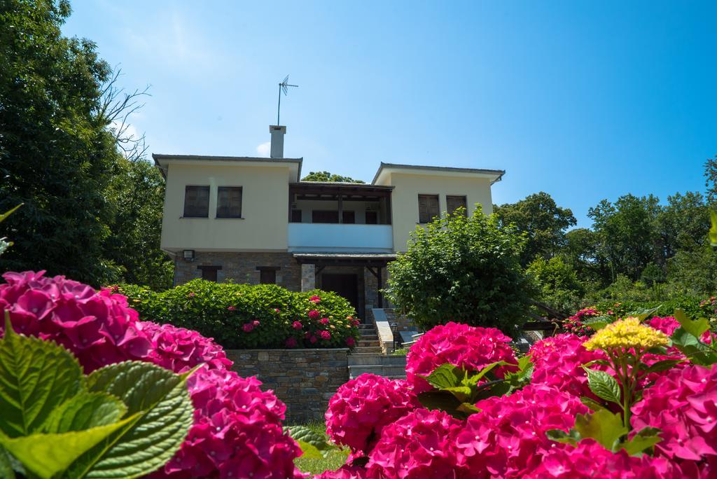 Luxury Villa With Pool In Tsagarada Ngoại thất bức ảnh